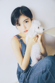 完美的妻子